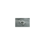 bladfang 800x800 1 147007